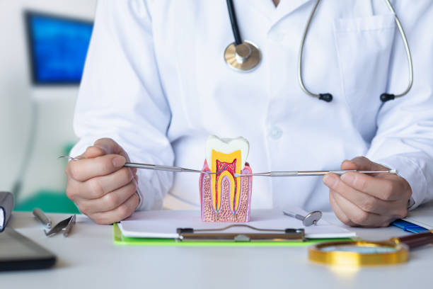 Best Broken or Cracked Tooth Emergency Dentist in Atwood, IL